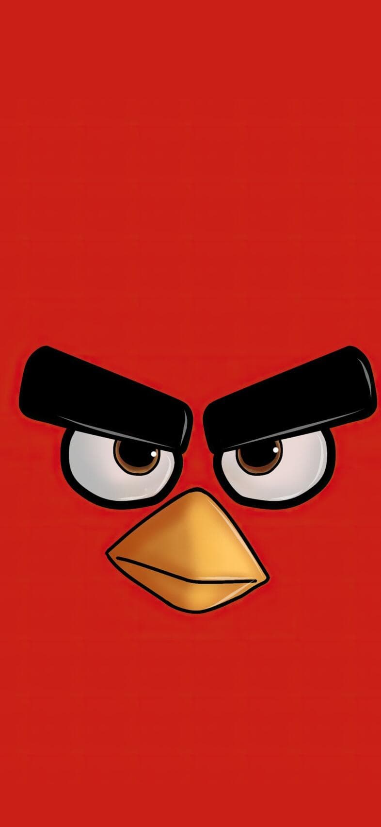 Angry Bird 4K Wallpapers for Phone