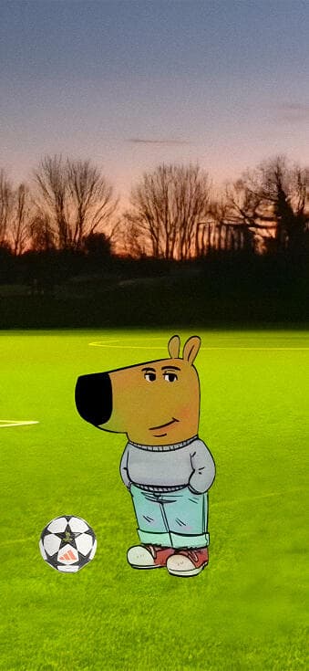 Chill guy football wallpaper