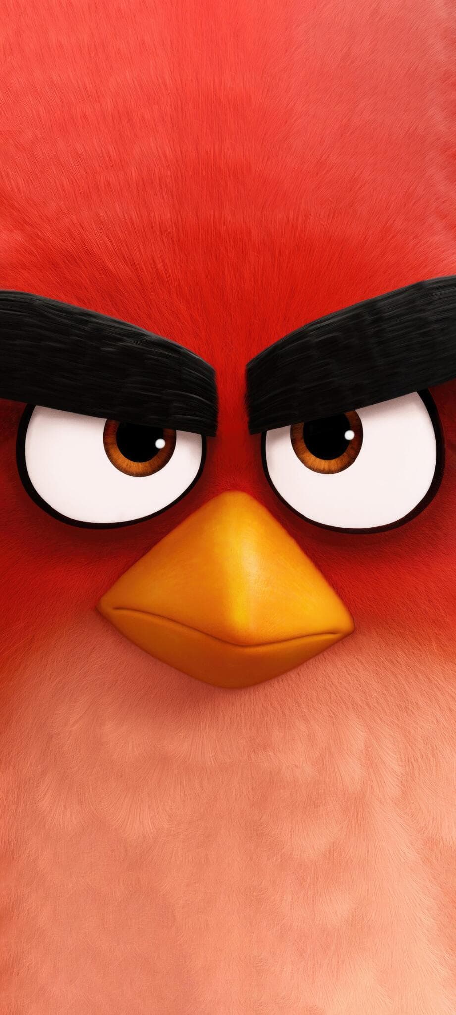 Angry Birds Wallpaper HD