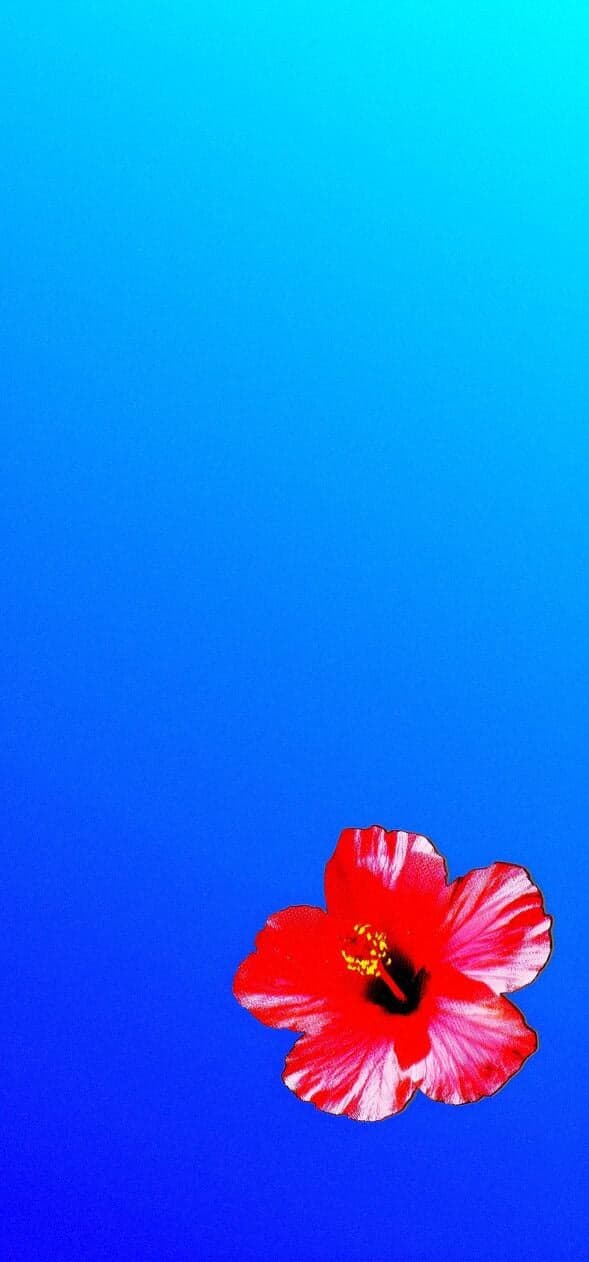 Aesthetic Wallpapers iPhone 4k