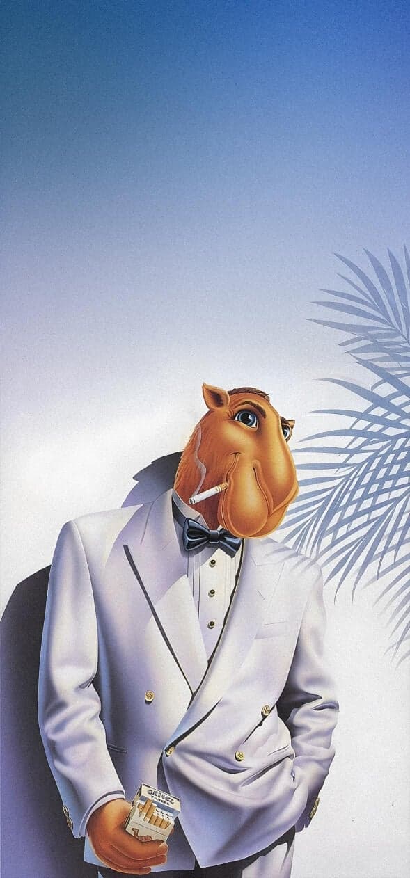 Marlboro Camel Wallpapers HD 4k