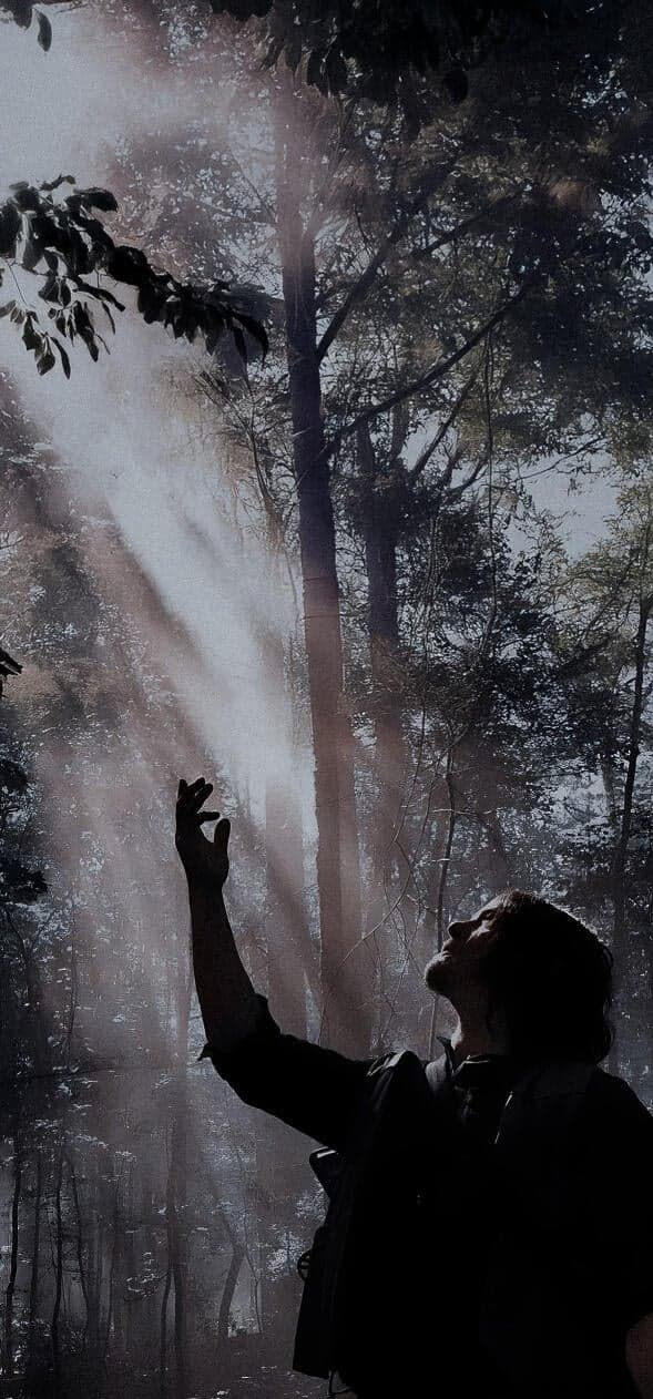The Walking Dead Wallpaper HD